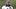 Jun 9, 2026; Houston, Texas, USA; Houston Texans cornerback Tremon Smith arrives for the team’s minicamp at Houston Methodist