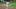 St. Louis Cardinals first baseman Alec Burleson 