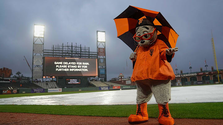 San Francisco Giants mascot Lou Seal stands in the rain.