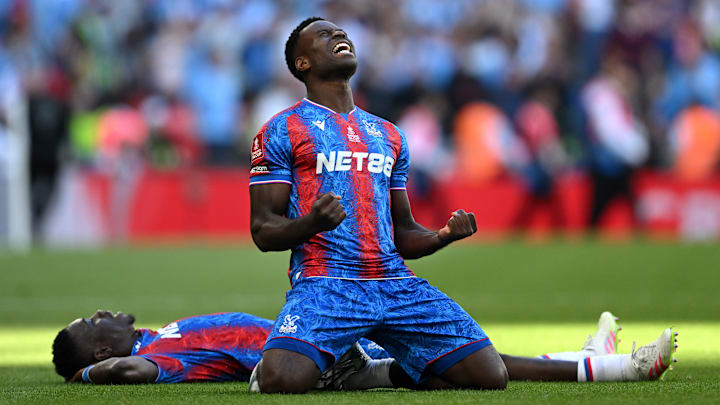 Crystal Palace v Manchester City - Emirates FA Cup Final