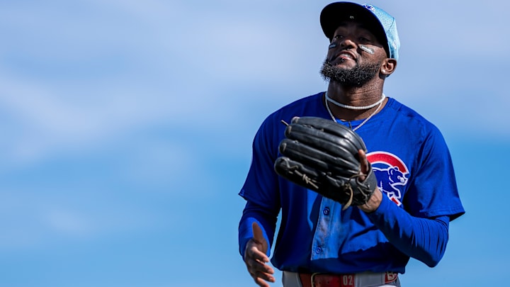 Chicago Cubs Spring Training