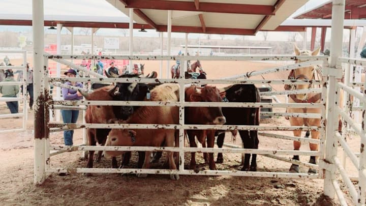 5th Annual Gripp N Flipp 5th Annual Gripp N Flipp