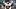Houston Texans' Nico Collins Houston Texans' Nico Collins
