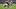 Chicago Bears cornerback Tyrique Stevenson and safety Dillon Thieneman. Chicago Bears cornerback Tyrique Stevenson and safety Dillon Thieneman.