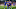 FBL-WC-2026-EUR-QUALIFIERS-CRO-CZE