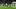 Jorge Sanchez, Krystian Bielik Jorge Sanchez, Krystian Bielik