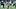 Baylor Big 12 Footbal Baylor Big 12 Footbal