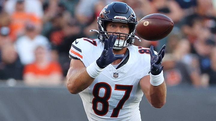 Chicago Bears tight end Sam Roush (87) makes a catch during the second quarter against the Cincinnati Bengals at Paycor Stadium.  Mandatory Credit: Joseph Maiorana-Imagn Images