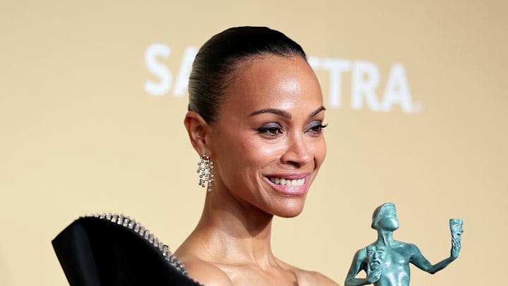 31st Annual Screen Actors Guild Awards