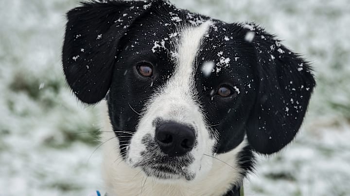Artic Weather Blasts UK