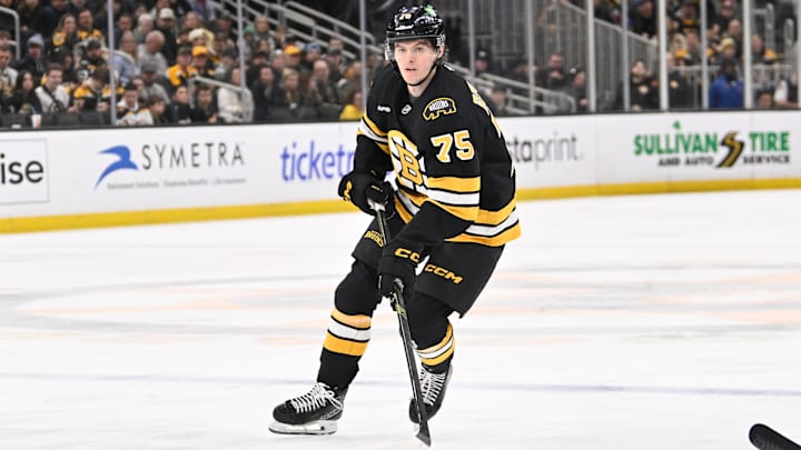 Mar 19, 2026; Boston, Massachusetts, USA; Boston Bruins forward Lukas Reichel (75) controls the puck against the Winnipeg Jets during the third period at TD Garden. Mandatory Credit: Eric Canha-Imagn Images