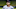 Washington Nationals prospect Seaver King
