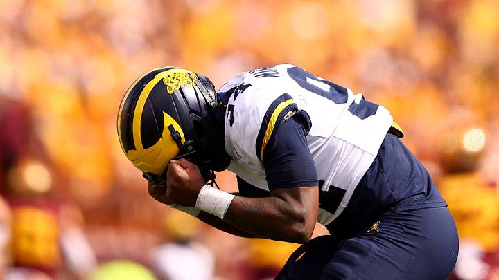 Michigan v. Minnesota Michigan v. Minnesota