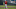 Boston Red Sox starting pitcher Sonny Gray 