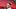 Tampa Bay Buccaneers QB Tom Brady Tampa Bay Buccaneers QB Tom Brady