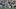 Quinshon Judkins, Cleveland Browns Quinshon Judkins, Cleveland Browns