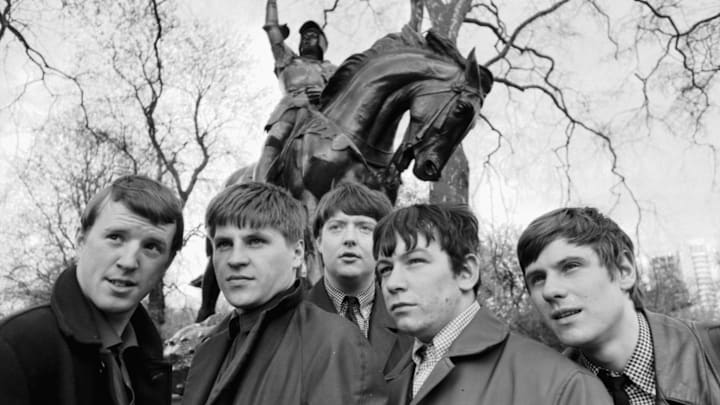 The Animals