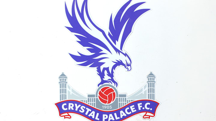Crystal Palace v Newcastle United - Premier League