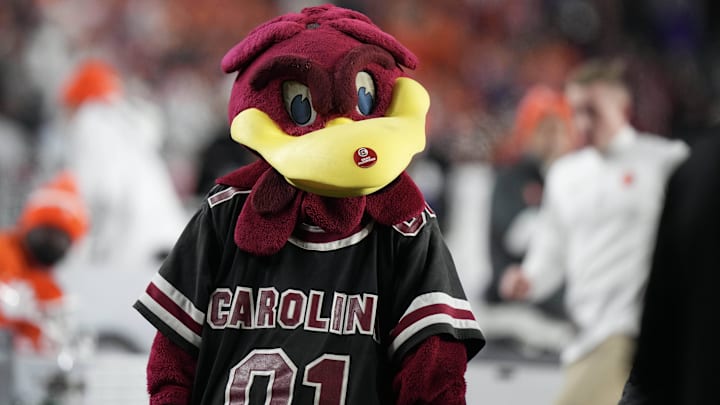 Nov 25, 2023; Columbia, South Carolina, USA; South Carolina Gamecocks mascot Cocky performs on the side lines in the second half against the Clemson Tigers at Williams-Brice Stadium. Mandatory Credit: David Yeazell-Imagn Images