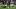 Bills QB Josh Allen (Blue Jersey, Number 17) escapes pressure from Jets DE Carl Lawson (White Jersey, Number 58). Bills QB Josh Allen (Blue Jersey, Number 17) escapes pressure from Jets DE Carl Lawson (White Jersey, Number 58).