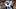Dallas Cowboys outside linebacker Donovan Ezeiruaku