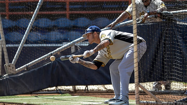 Los Leones del Caracas vuelven a chocar contra Tiburones de La Guaira