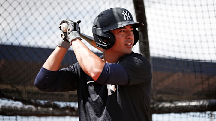 2022 New York Yankees Archive