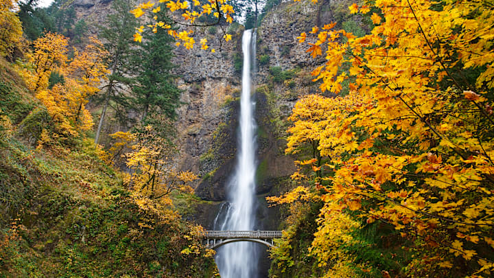 Multnomah Falls in autumn.