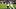 Chicago Bears linebacker D'Marco Jackson Chicago Bears linebacker D'Marco Jackson