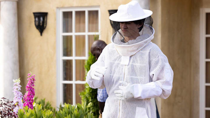 GROSSE POINTE GARDEN SOCIETY -- "Companion Planting" Episode 103 -- Pictured: Felix Wolfe as Ford -- (Photo by: Mark Hill/NBC)