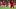 Beim FC Bayern blieb ihm der Durchbruch bei den Profis verwehrt Beim FC Bayern blieb ihm der Durchbruch bei den Profis verwehrt