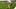 Lionel Messi, Mostafa Shoubir Lionel Messi, Mostafa Shoubir