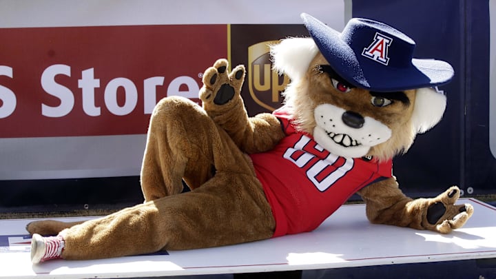 November 10, 2012; Tucson, AZ, USA; Arizona Wildcats mascot Wilbur performs during the first half against the Colorado Buffaloes at Arizona Stadium. Mandatory Credit: Rick Scuteri-Imagn Images November 10, 2012; Tucson, AZ, USA; Arizona Wildcats mascot Wilbur performs during the first half against the Colorado Buffaloes at Arizona Stadium. Mandatory Credit: Rick Scuteri-Imagn Images