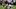 Jamree Kromah getting a sack Jamree Kromah getting a sack