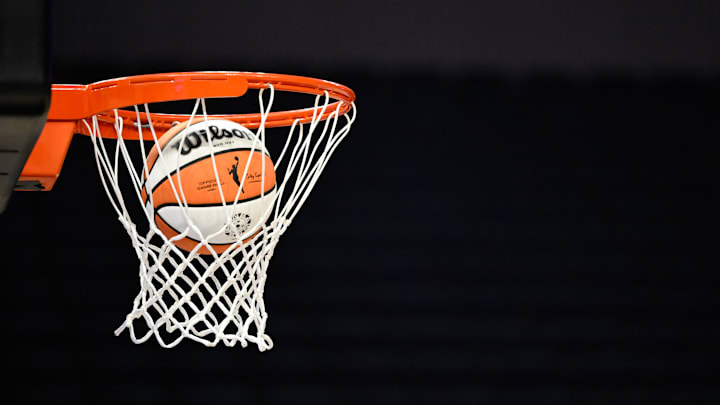 Aug 19, 2025; San Francisco, California, USA; The WNBA logo is seen on a ball before the Golden State Valkyries play the Phoenix Mercury at Chase Center. Mandatory Credit: Eakin Howard-Imagn Images