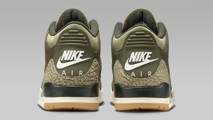 The Air Jordan 3 'Family Affair' colorway.