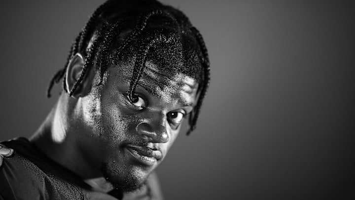 Baltimore Ravens Portraits