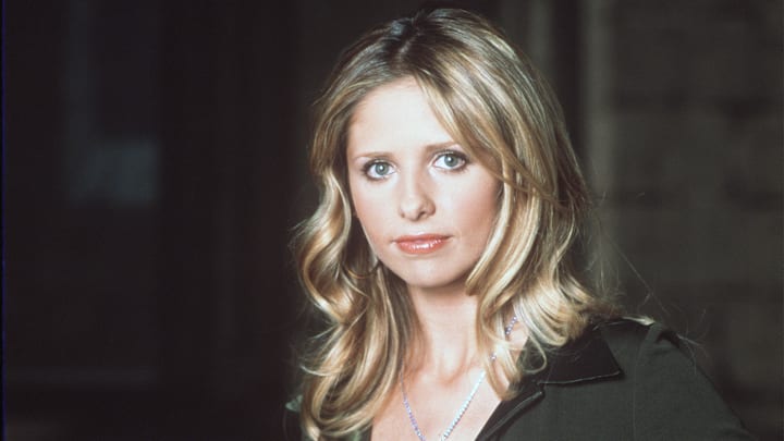 Buffy The Vampire Slayer Year 5 TV Stills