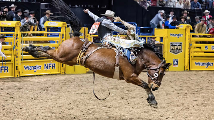 Saddle Bronc