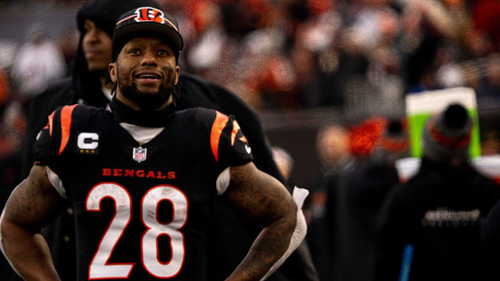 Cincinnati Bengals halfback Joe Mixon (28) smiles on the sidelines in the fourth quarter of the NFL
