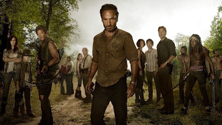 (L to R) Lori Grimes (Sarah Wayne Callies); Carl Grimes (Chandler Riggs); Daryl Dixon (Norman Reedus); Carol (Melissa Suzanne McBride); T-Dog (Robert 'IronE' Singleton); Beth Greene (Emily Kinney); Hershel Greene (Scott Wilson); Rick Grimes (Andrew Lincoln); Maggie Greene (Lauren Cohan); Glenn (Steven Yeun); The Governor (David Morrissey); Michonne (Danai Gurira) and Andrea (Laurie Holden) in The Walking Dead
