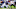JK Dobbins, Baltimore Ravens JK Dobbins, Baltimore Ravens