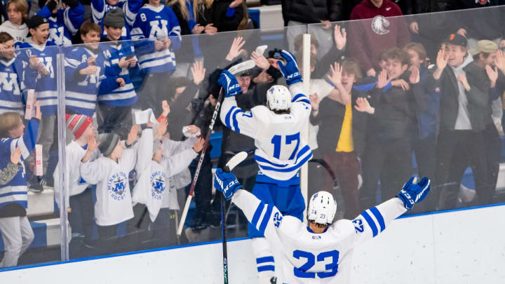Minnetonka boys hockey celebrates a goal in 2023