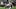 Seattle Seahawks running back Zach Charbonnet injury Seattle Seahawks running back Zach Charbonnet injury