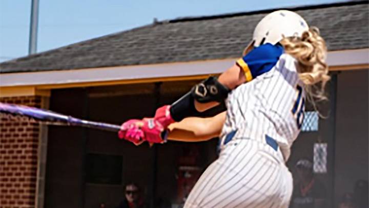 Nansemond-Suffolk's Zoey Carpenter was the winner of the fan voting for Virginia's High School Softball Player of the Year honors. Nansemond-Suffolk's Zoey Carpenter was the winner of the fan voting for Virginia's High School Softball Player of the Year honors.