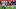 New England Patriots running back Corey Kiner New England Patriots running back Corey Kiner