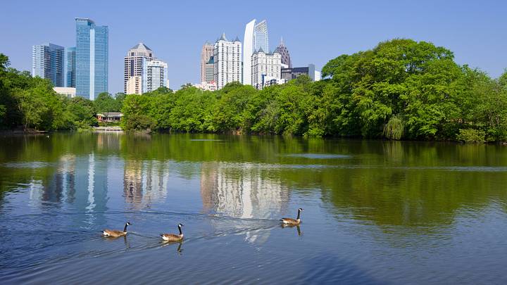 The Midtown Atlanta skyline reflected in the lake at Piedmont Park on a sunny summer day, with geese swimming in the foreground.
