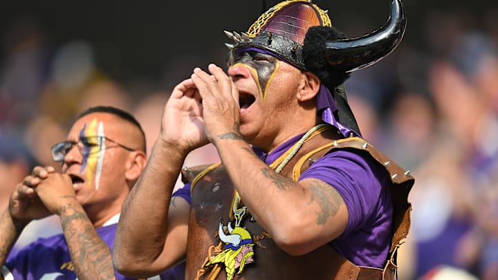 Minnesota Vikings fans