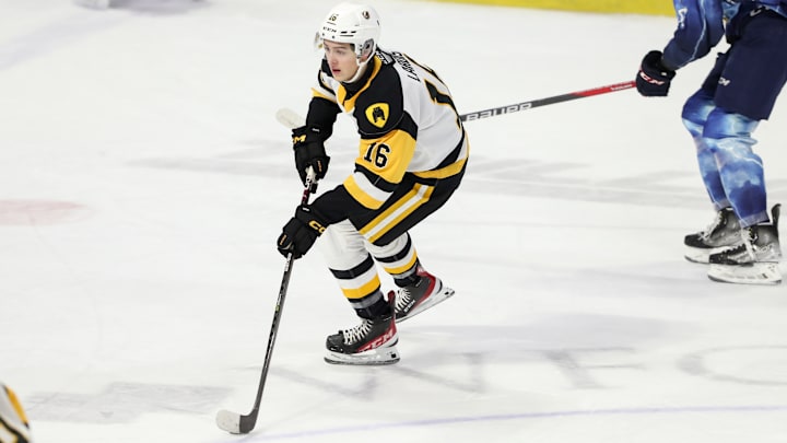 Hamilton Bulldogs v Windsor Spitfires