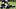 Chicago Bears defensive back Skyler Thomas. Chicago Bears defensive back Skyler Thomas.
